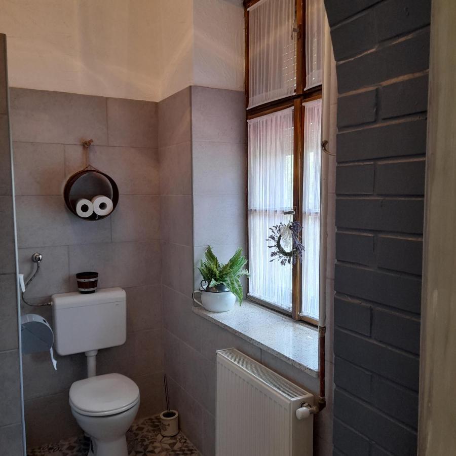 Locomotiv Vendégház Hercegszanto Extérieur photo